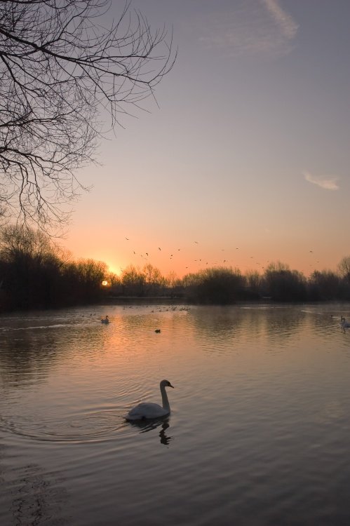 Dawn on the Water Park