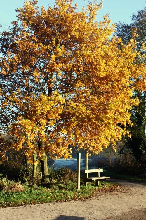 Kingsbury Water Park