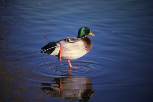 Kingsbury Water Park