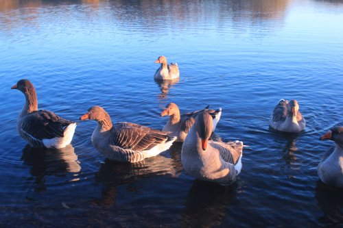 Kingsbury Water Park