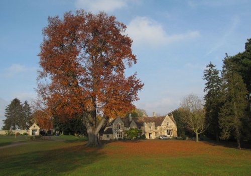 Rushden Hall Park