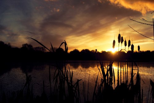 Kingsbury Water Park