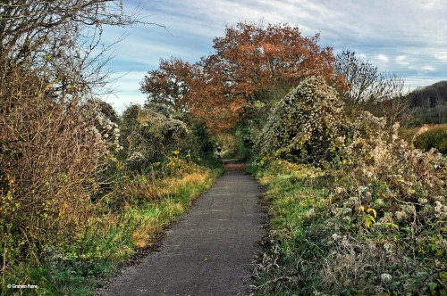 The North Dorset Trailway