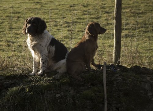 Waiting for the off.