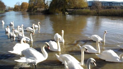 Wellingborough floods