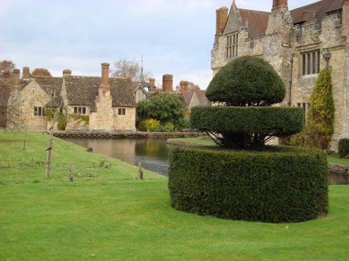 Yew topiary