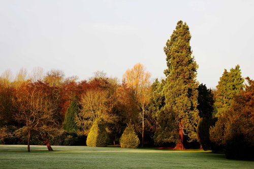 Coombe Abbey