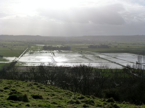 Glastonbury