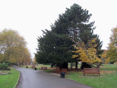 Roundwod Park NW10