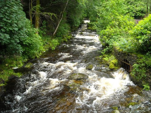 The Lake District