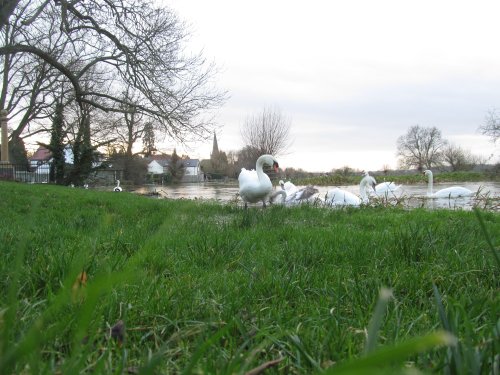 Denford Floods