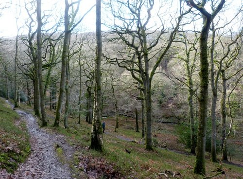 Quantock Hills