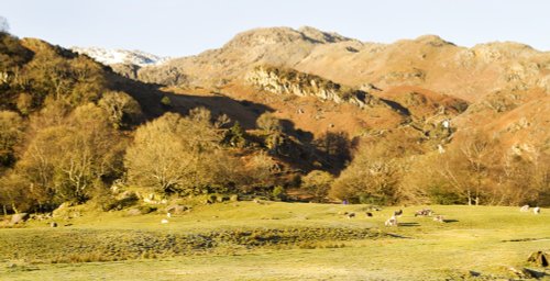 Brinhowe Crag Grasmere