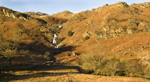 Sour MIlk Gill 1