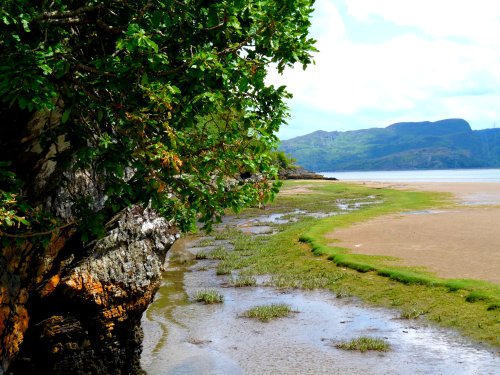 Port Meirion