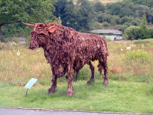 TARW - in the National Botanic Gardens of Wales