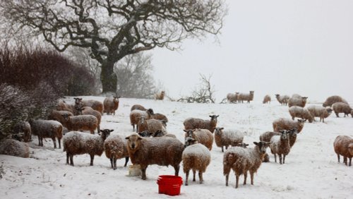 Atherstone snowy morning