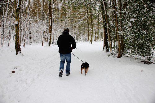 Snowy Hayes