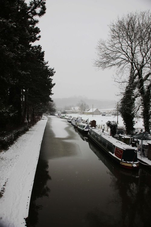 Snowy Hartshill