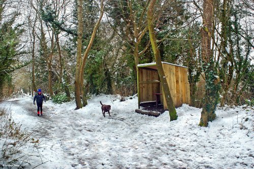 Stour Valley Winter, The North Dorset Trailway,  Shillingstone.