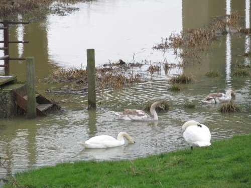 Irthlingborough floods