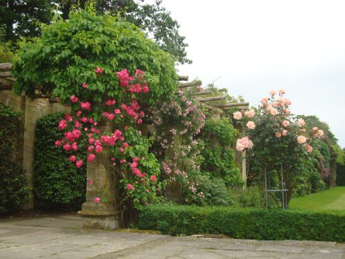 Italian Garden