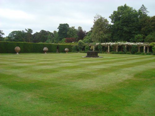 Italian Garden lawn