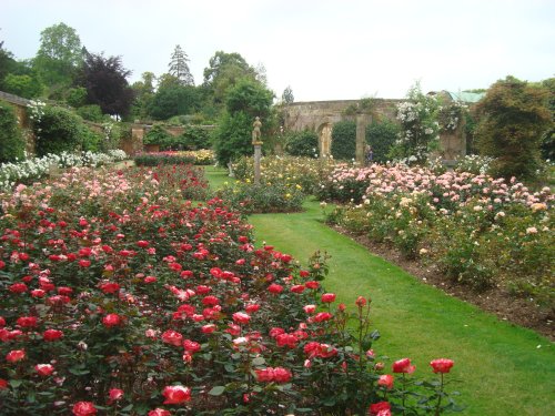 Rose Garden