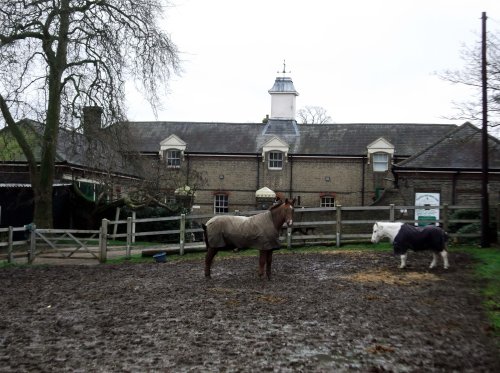 Riding school, Havering-atte-Bower