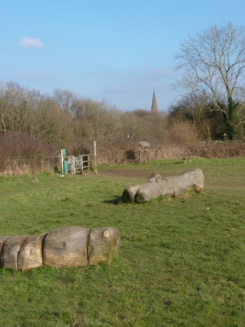 Ranmore Common.