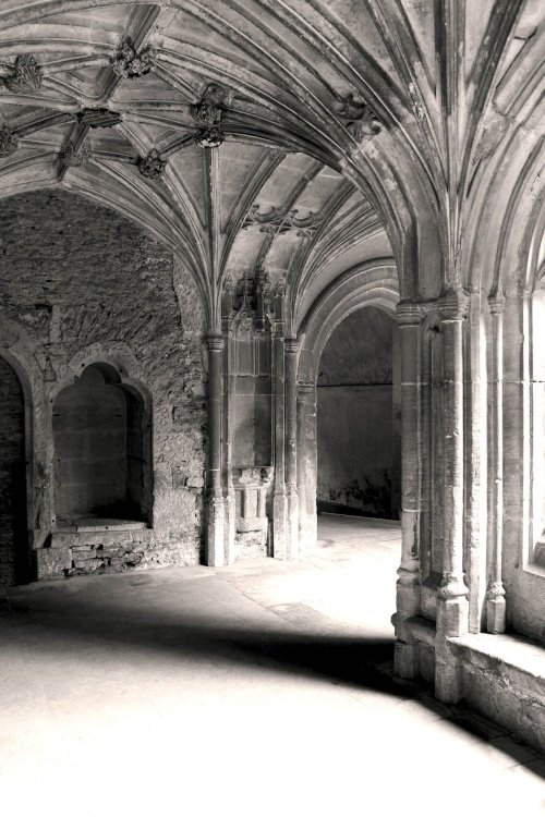 The cloister of Lacock Abbey