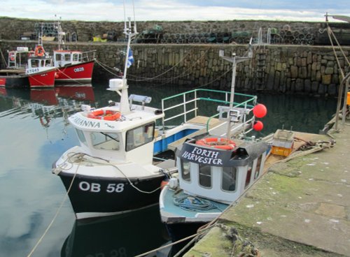 Crail Harbour