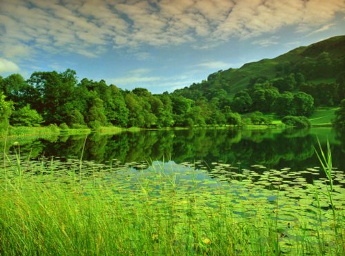 Loughrigg Tarn view.