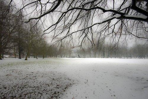 Abington Park East