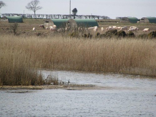 Covehithe Broad