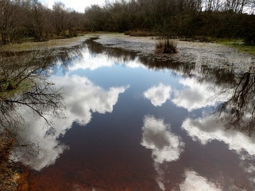 Sampford Moor