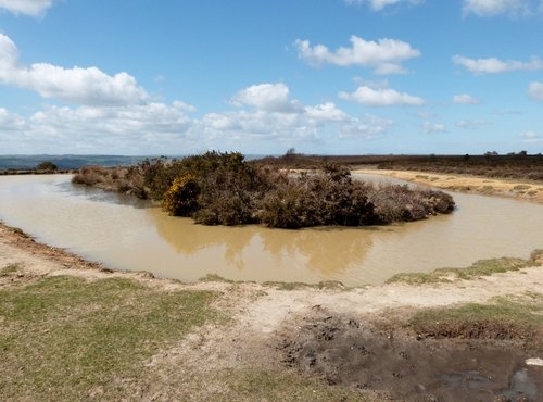 Sampford Moor