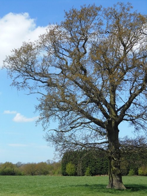 Hatton, Warwickshire