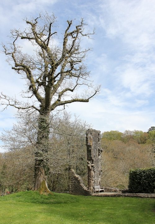Okehampton Castle, Devon