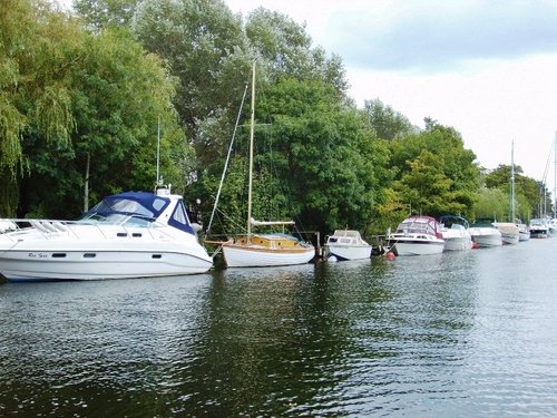 River Avon, Christchurch