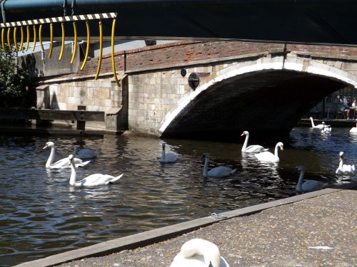 Wroxham, Norfolk