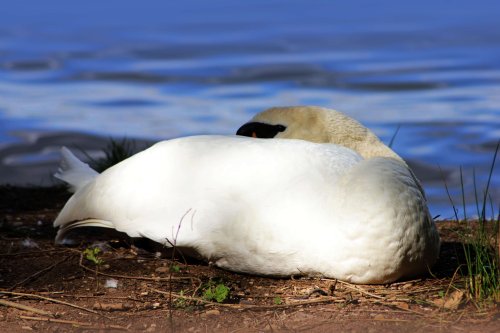 Kingsbury Water Park