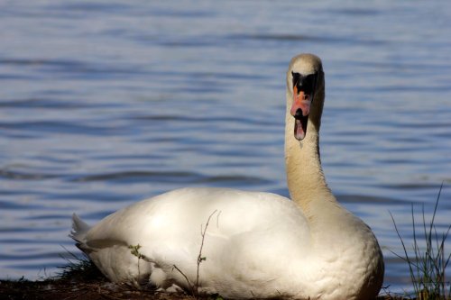 Kingsbury Water Park