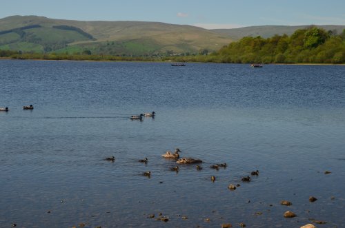 Semer Water, Countersett