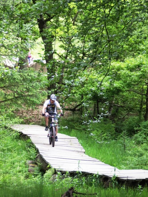 Cannock Chase bike trail