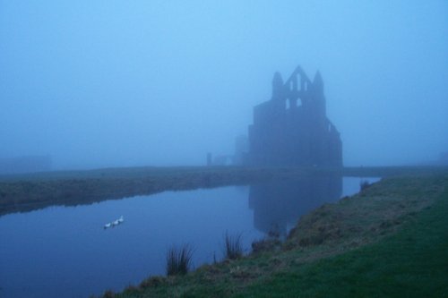 Dawn morning, Whitby Abbey