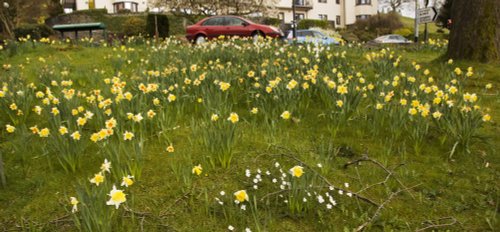 Waterhead Ambleside 3