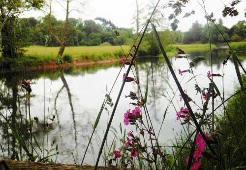 Stoneleigh Abbey Gardens