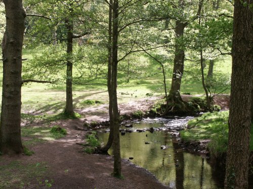 Forest of Dean stream