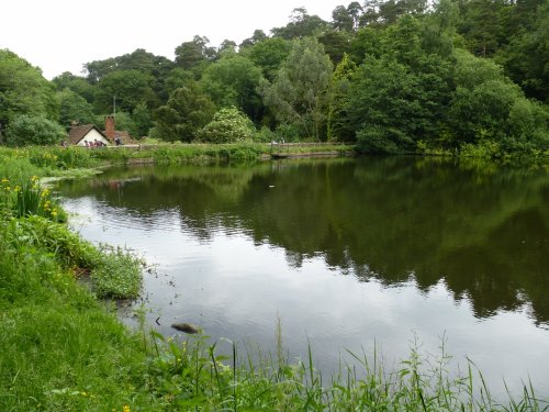 Friday Street Pond.